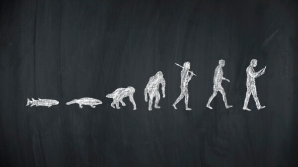 Fish-to-Human-Evolution